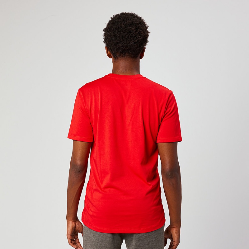 Altra EVERYDAY RECYCLED TEE T-Shirt Herren Rot | Schweiz AL8109A50